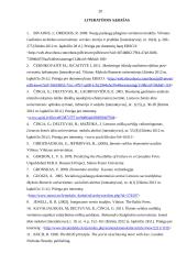 Išlaidų efektyvumo didinimo būdai 20 puslapis