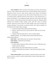 Išlaidų efektyvumo didinimo būdai 3 puslapis