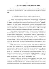 Išlaidų efektyvumo didinimo būdai 4 puslapis