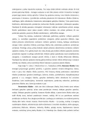 Išlaidų efektyvumo didinimo būdai 5 puslapis