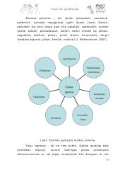 Vaikų agresija 12 puslapis