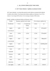 AB „Utenos trikotažas“ veiklos apžvalga 13 puslapis