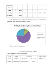 AB „Utenos trikotažas“ veiklos apžvalga 17 puslapis