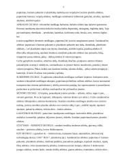 AB „Utenos trikotažas“ veiklos apžvalga 5 puslapis