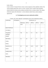 AB „Utenos trikotažas“ veiklos apžvalga 6 puslapis