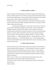 AB „Utenos trikotažas“ veiklos apžvalga 9 puslapis