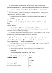 AB „Utenos trikotažas“ veiklos apžvalga 10 puslapis