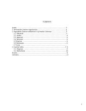 Jaunimo subkultūra ir kalba 2 puslapis