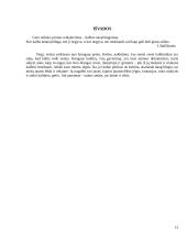 Jaunimo subkultūra ir kalba 12 puslapis