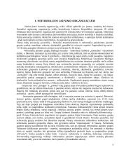 Jaunimo subkultūra ir kalba 4 puslapis