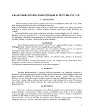 Jaunimo subkultūra ir kalba 5 puslapis