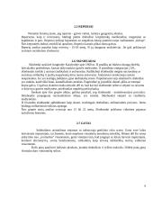 Jaunimo subkultūra ir kalba 6 puslapis