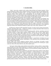 Jaunimo subkultūra ir kalba 7 puslapis