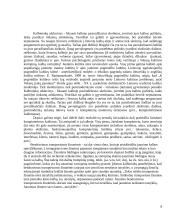 Jaunimo subkultūra ir kalba 8 puslapis