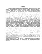 Jaunimo subkultūra ir kalba 9 puslapis