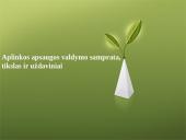 Aplinkos apsaugos valdymo sistema 2 puslapis