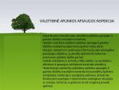Aplinkos apsaugos valdymo sistema 20 puslapis