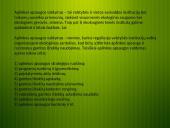 Aplinkos apsaugos valdymo sistema 4 puslapis