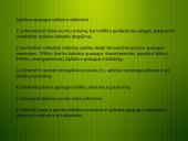 Aplinkos apsaugos valdymo sistema 6 puslapis