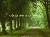 Aplinkos apsaugos valdymo sistema 7 puslapis