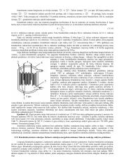 Atomo branduolys ir jo elementariosios dalelės 6 puslapis