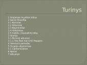 Red Hot Chili Peppers 2 puslapis