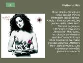 Red Hot Chili Peppers 13 puslapis