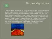 Red Hot Chili Peppers 7 puslapis