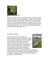 Airijos aprašymas 5 puslapis