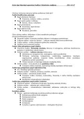 Audito santrauka 2 puslapis