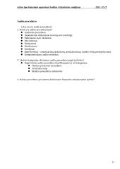 Audito santrauka 11 puslapis