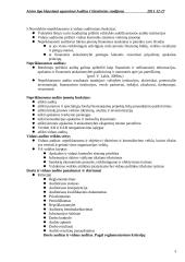 Audito santrauka 3 puslapis