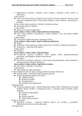 Audito santrauka 4 puslapis