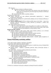 Audito santrauka 5 puslapis