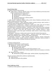 Audito santrauka 6 puslapis