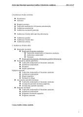 Audito santrauka 7 puslapis