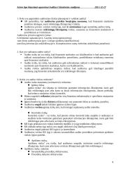 Audito santrauka 8 puslapis