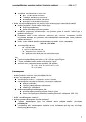 Audito santrauka 9 puslapis