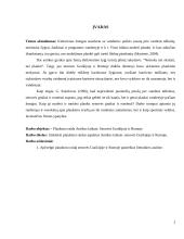 Plaukimo raida Antikos laikais: Senovės Graikijoje ir Romoje 2 puslapis