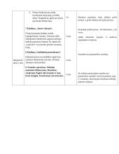 Kūno kultūros pamokos planas/konspektas 4 puslapis