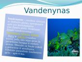 Vandens judėjimas pasaulio vandenyne ir jo įtaka sausumai 2 puslapis