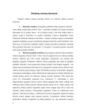 Rinkimų sistemos. Rinkimų sistema Lietuvoje 9 puslapis