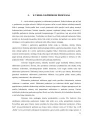 E-verslo dinamika ir perspektyvos Lietuvoje referatas 11 puslapis