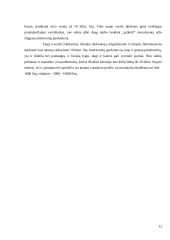 E-verslo dinamika ir perspektyvos Lietuvoje referatas 12 puslapis
