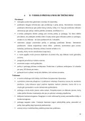 E-verslo dinamika ir perspektyvos Lietuvoje referatas 18 puslapis