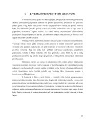 E-verslo dinamika ir perspektyvos Lietuvoje referatas 19 puslapis