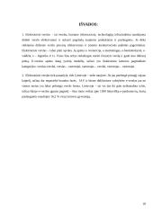 E-verslo dinamika ir perspektyvos Lietuvoje referatas 20 puslapis
