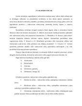 UAB „Ventara“ naudojami vadovavimo stiliai 4 puslapis