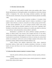 UAB „Ventara“ naudojami vadovavimo stiliai 7 puslapis