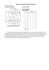 Dvejetainis laikrodis 11 puslapis